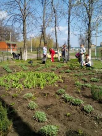 /Files/images/2016_rk/изображение viber556.jpg