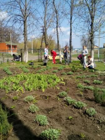 /Files/images/2016_rk/изображение viber556.jpg