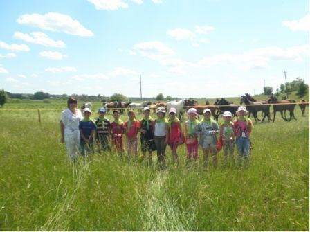 /Files/images/2015_rk/traven/Новый рисунок (5)ььь.jpg