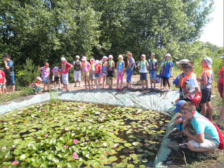 /Files/images/2015_rk/traven/Новый рисунок (4).png