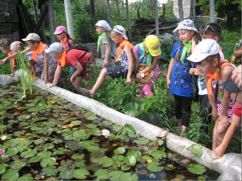 /Files/images/2015_rk/traven/Новый рисунок (3).png